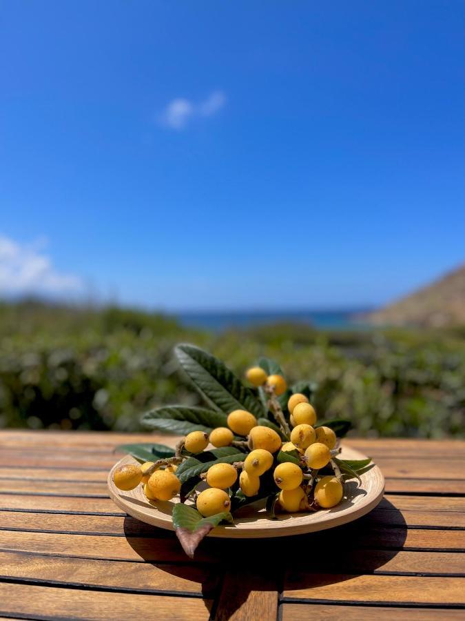 Seaside Studios Arkasa Karpathos Exterior foto