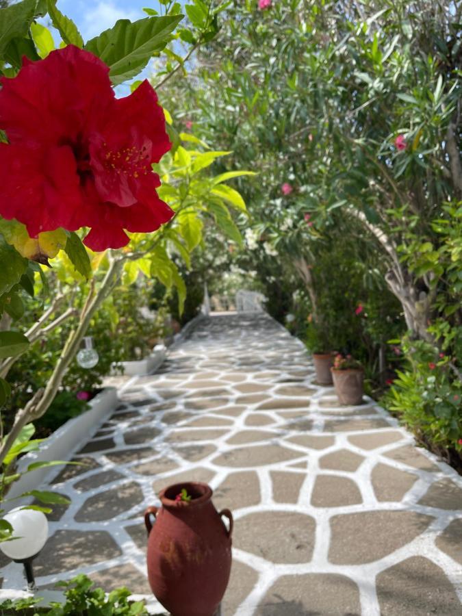 Seaside Studios Arkasa Karpathos Exterior foto
